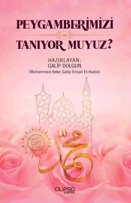 Galip Dolgun - Peygamberimizi Tanıyor Muyuz? kitap kapağı, pembe güller ve cami silüeti temalı tasarım.